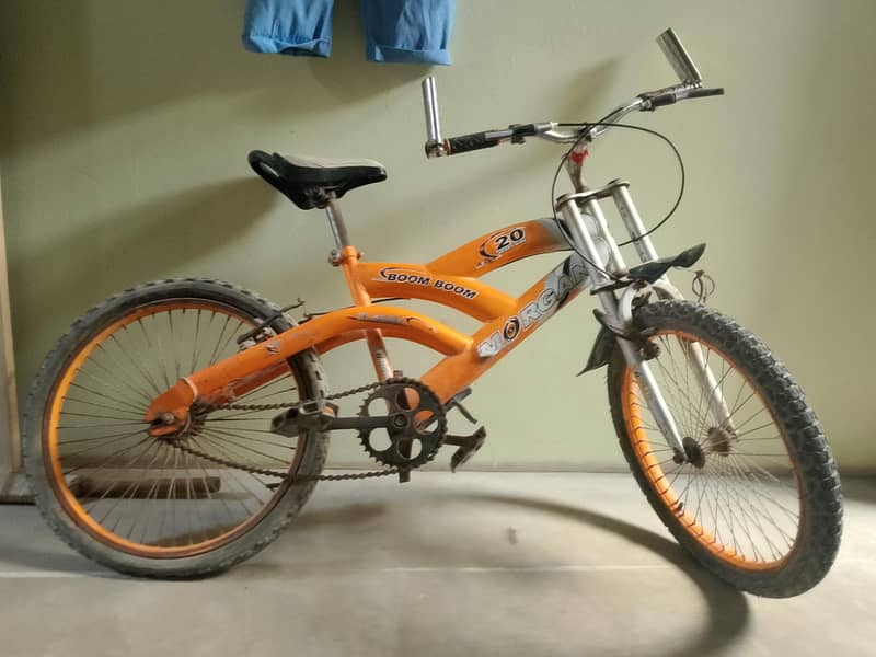 cycle 03132428854 1