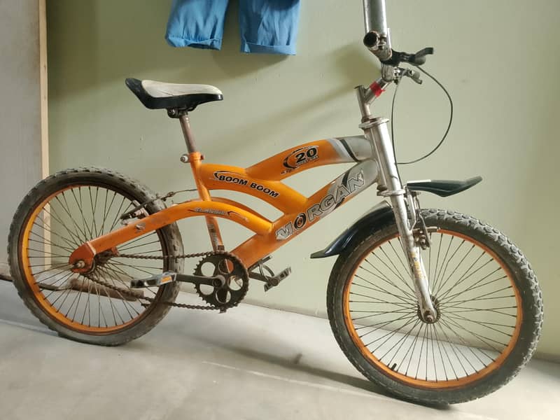 cycle 03132428854 2