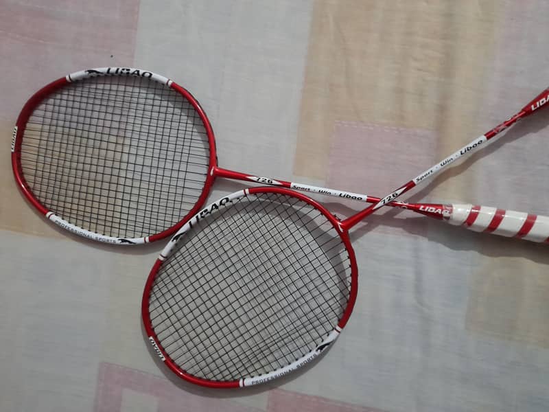 Libao 1