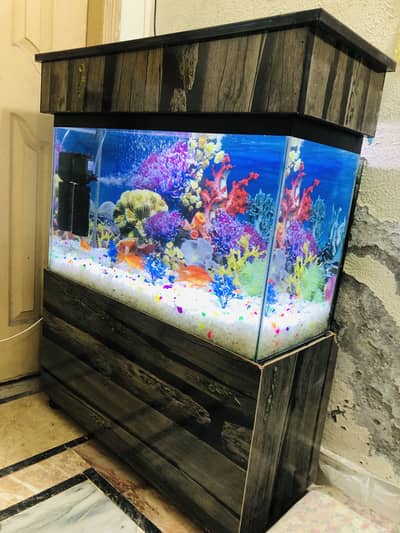 2.5 fit fish aquarium complet setup 0311/4440283