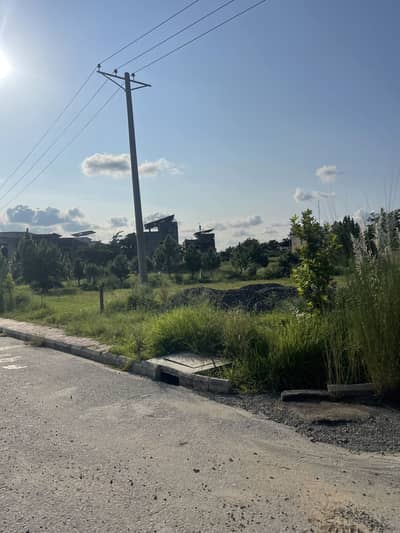 Gulberg Residencia Block T Plot For Sale