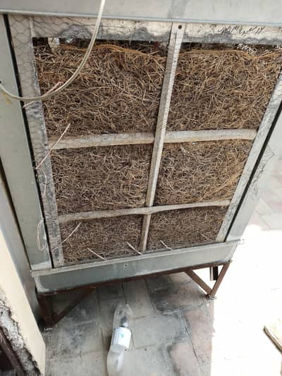 Air cooler