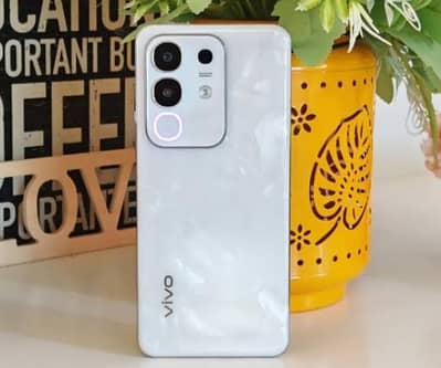 Vivo Y29 5G | 10/10 Condition | 6 Months Official Warranty | Full Box