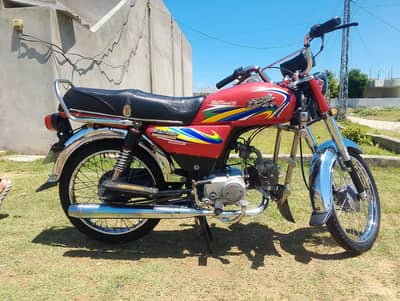 CD-70 2021 Model Safari