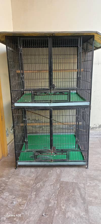 Cages for Parrots
