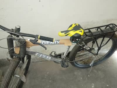 Mountain bicycle