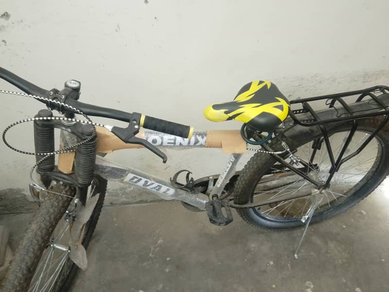 Mountain bicycle 1