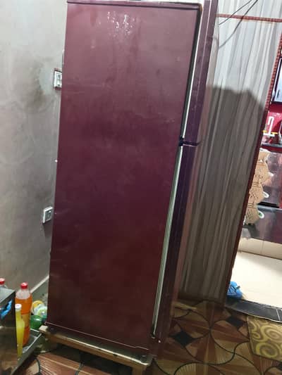 pel refrigerator best 10 of 10 condition