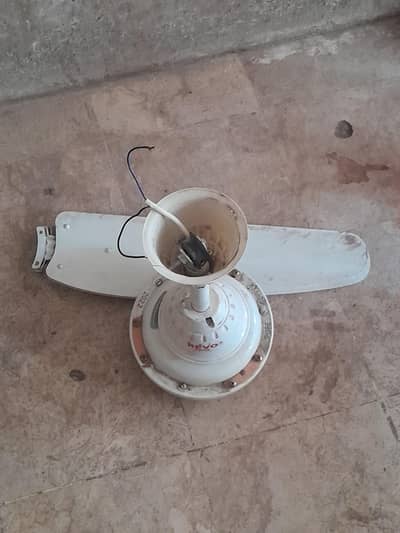 REVO Ceiling Fan – Used but Working Condition
