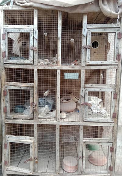 Wood cage