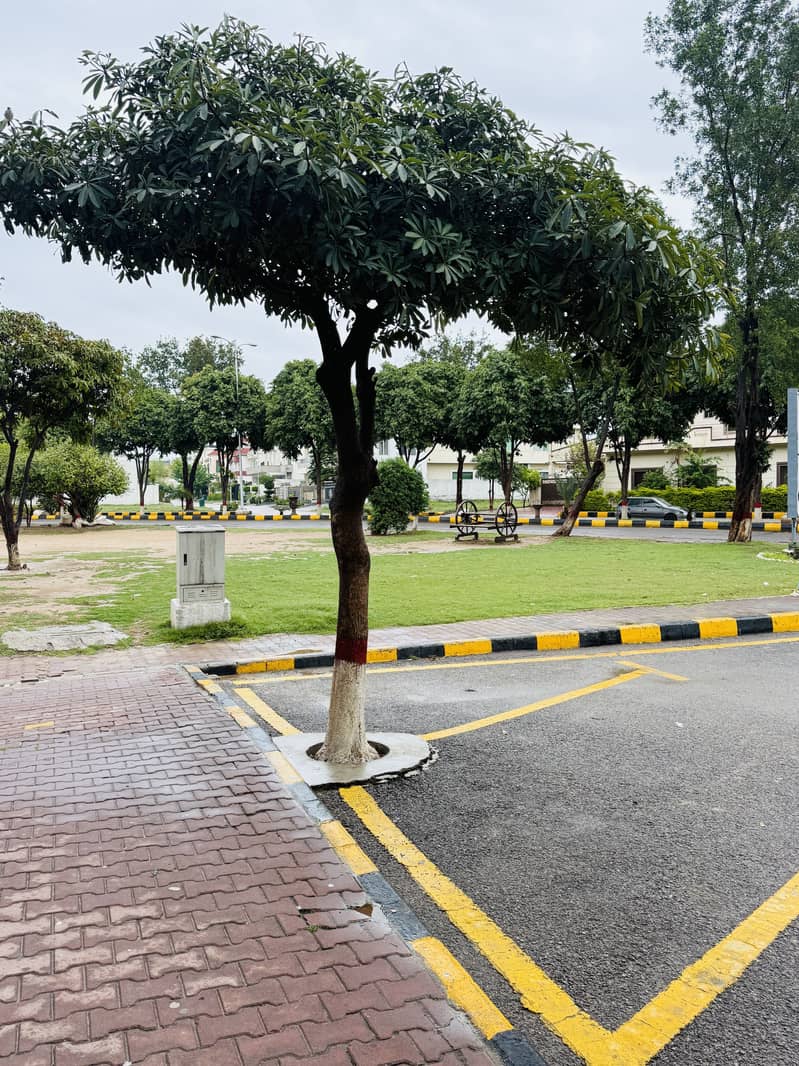 Faisal hills B Block PNo4999 Solid Plot Ready for construction 17