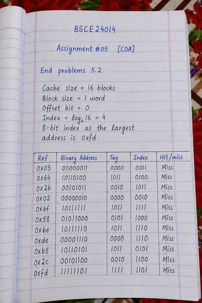 Assignment & Notes Help - School/College | Fast Delivery