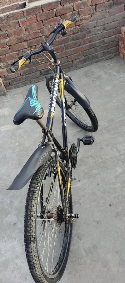 Gears bicycle