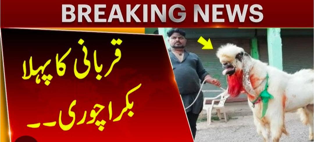 دو سال ریپلیسمنٹ وارنٹی کے ساتھ اچھی قیمت پہ کیمرے لگوائیں 4