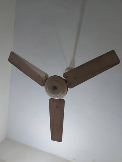 old fan