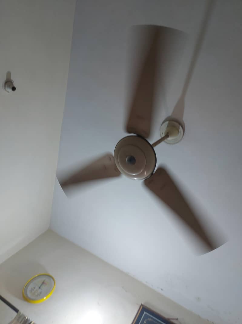 old fan 1