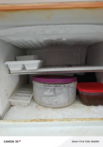 fridge for sale