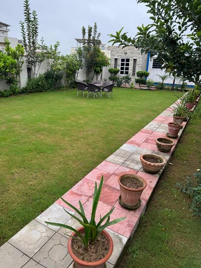 V Block 12 Marla at investor for Sale excellent solid land location
