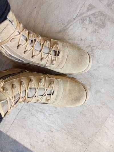 DMS Shoes