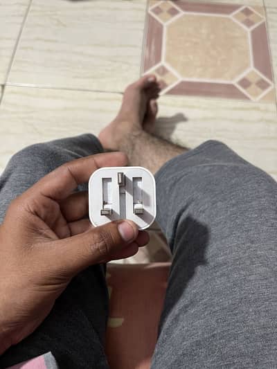 Apple Original 3-Pin 20W Charger