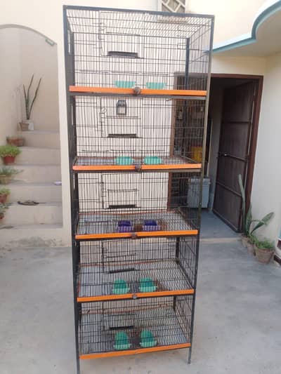 parrot pinjra