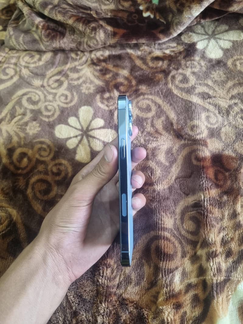 iPhone 13 Pro Max 1