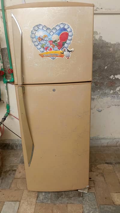 St Fridge full large size