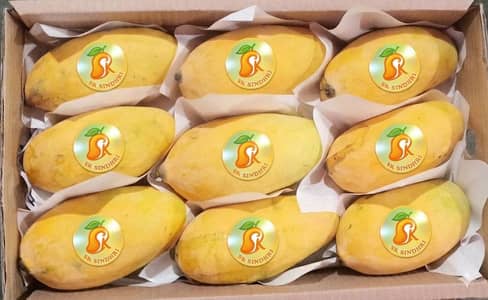 Farm fresh sindhri aam, natural mithaas with super quality 03343123325