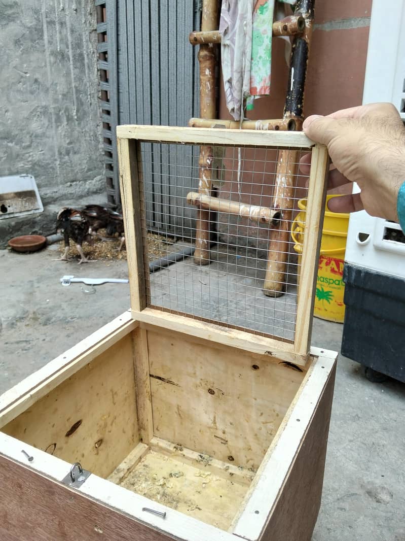box cage 1