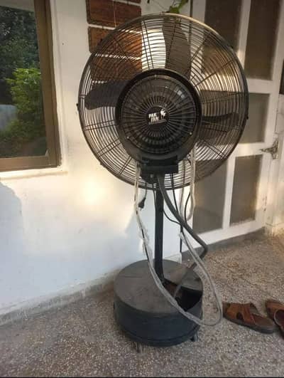 Pak fan