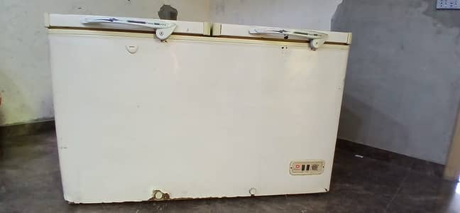 Twin Door Freezer