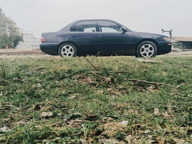 XE Corolla 6