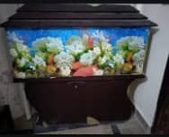 Aquarium For Sale