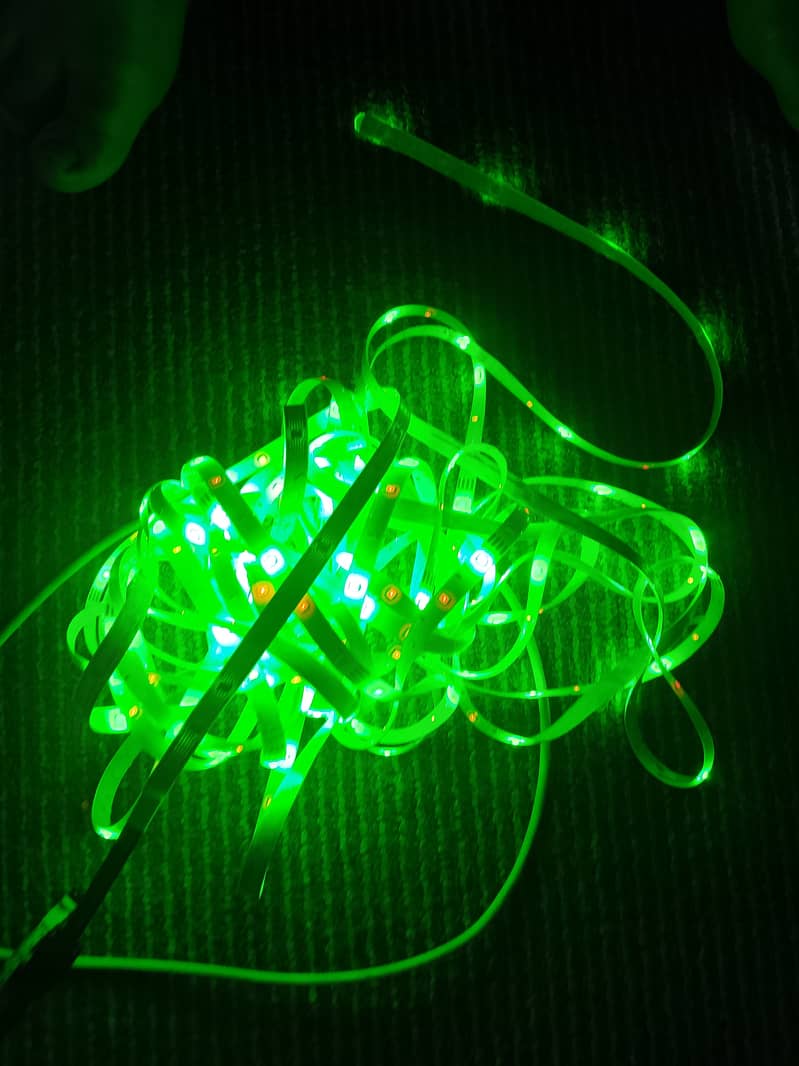 LED lights 1