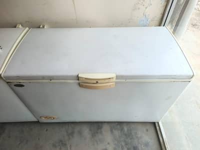 waves deep freezer single door all okay/0321/080/77/77/