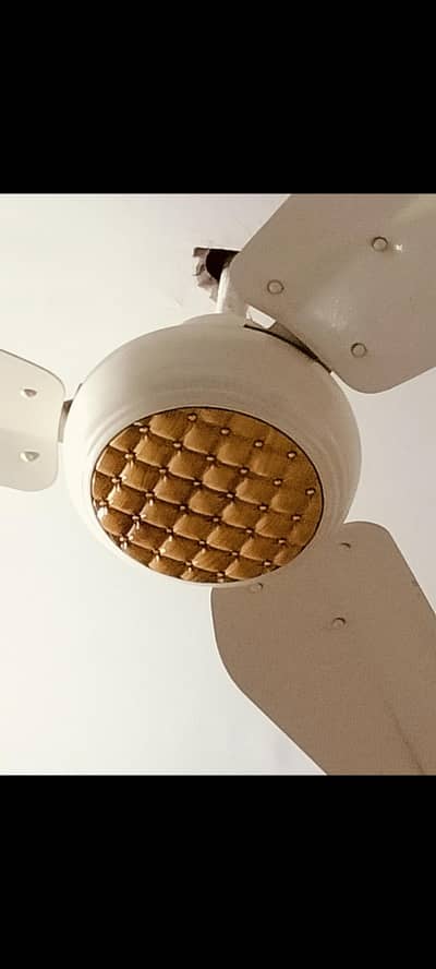 ceiling fan for sale