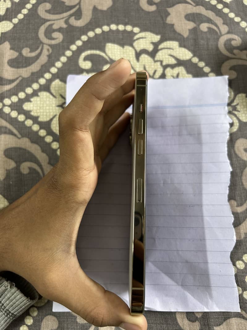 iPhone 12 Pro Max 4