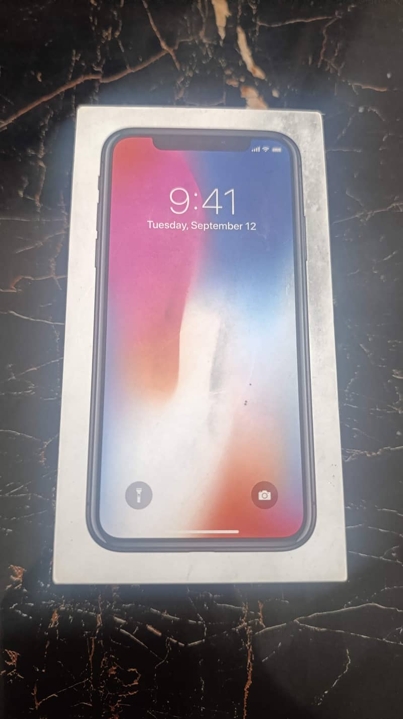iPhoneX 1