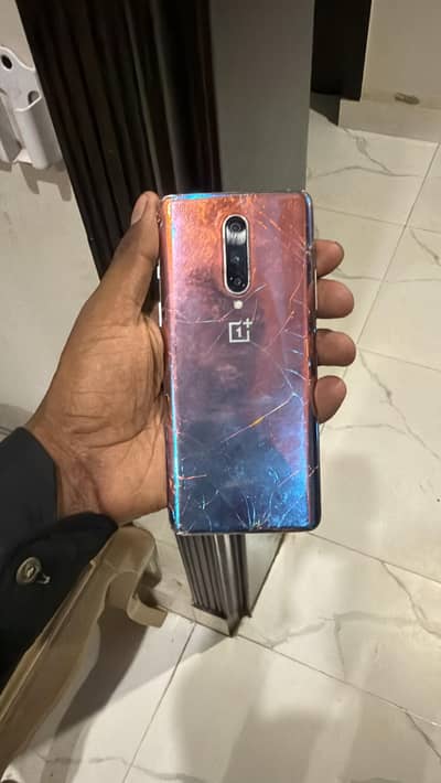 glass barke back barke ha