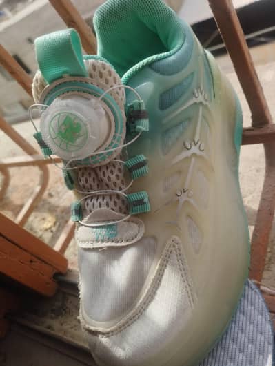 Skate Shoes rechargeable