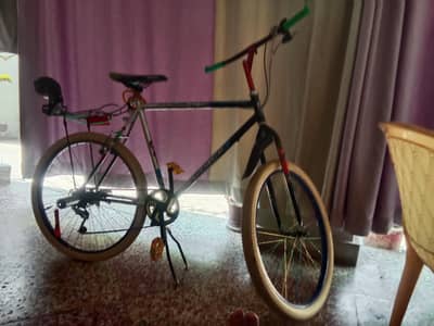 villain wali cycle hai