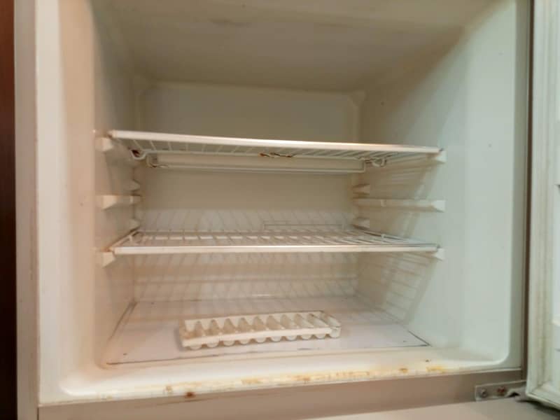 fridge 2