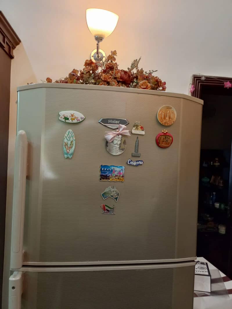 fridge 4