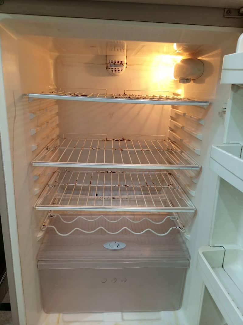fridge 6