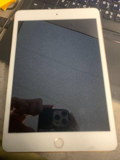 ipad mini 5