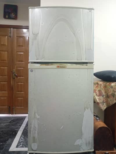 Big double door refrigerator and freezer