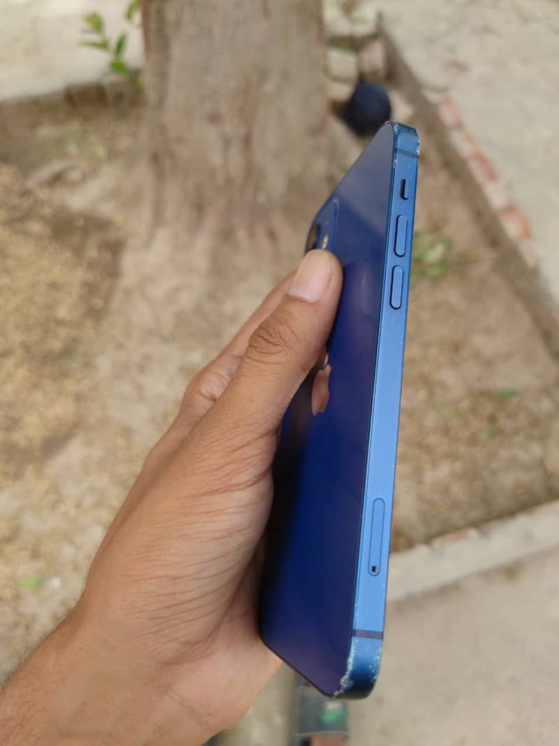 iphone 12 6