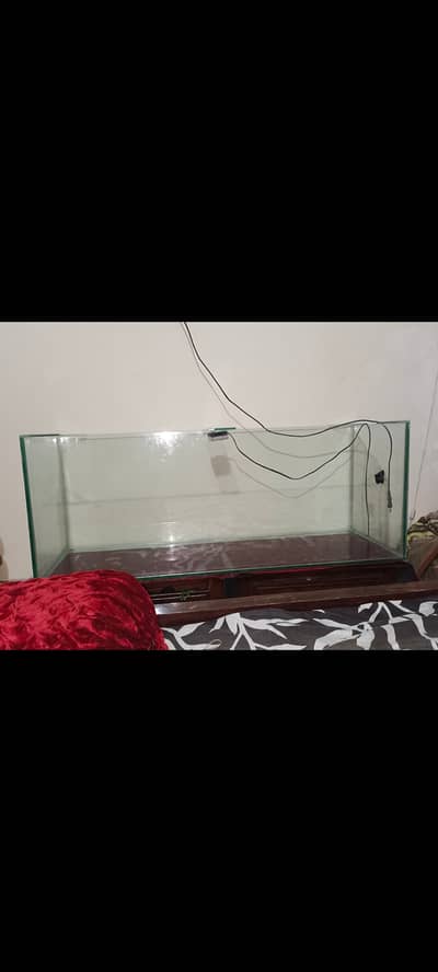4 fft acurium