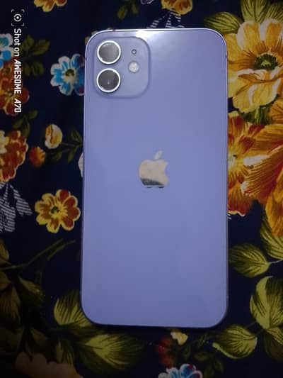 iphone 12 pta