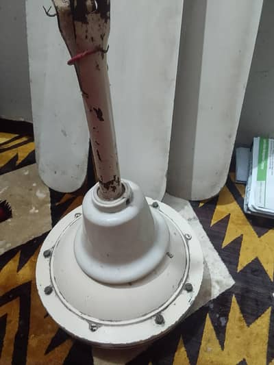 celling fan